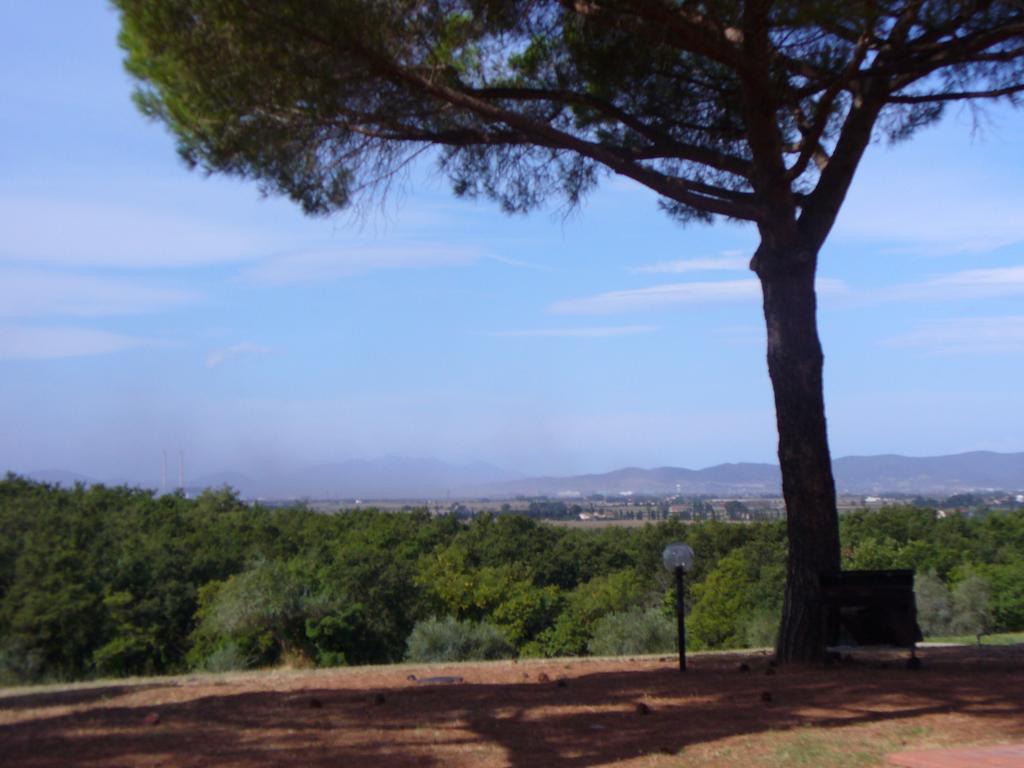 ריוטורטו Agriturismo Bronzivalle מראה חיצוני תמונה