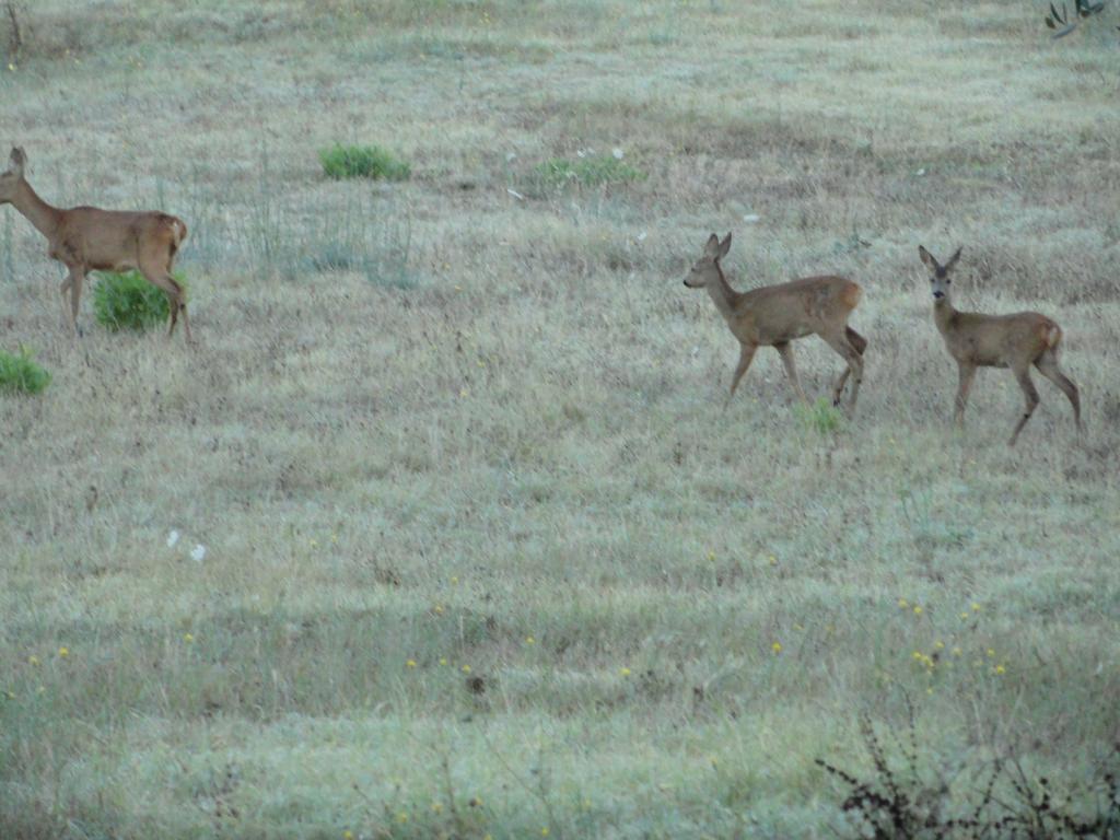 ריוטורטו Agriturismo Bronzivalle מראה חיצוני תמונה